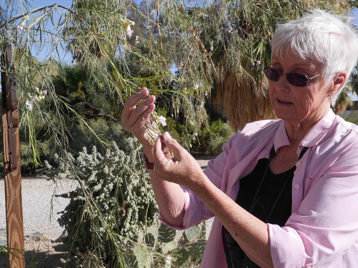 Campbell House Hotel Twentynine Palms Buitenkant foto