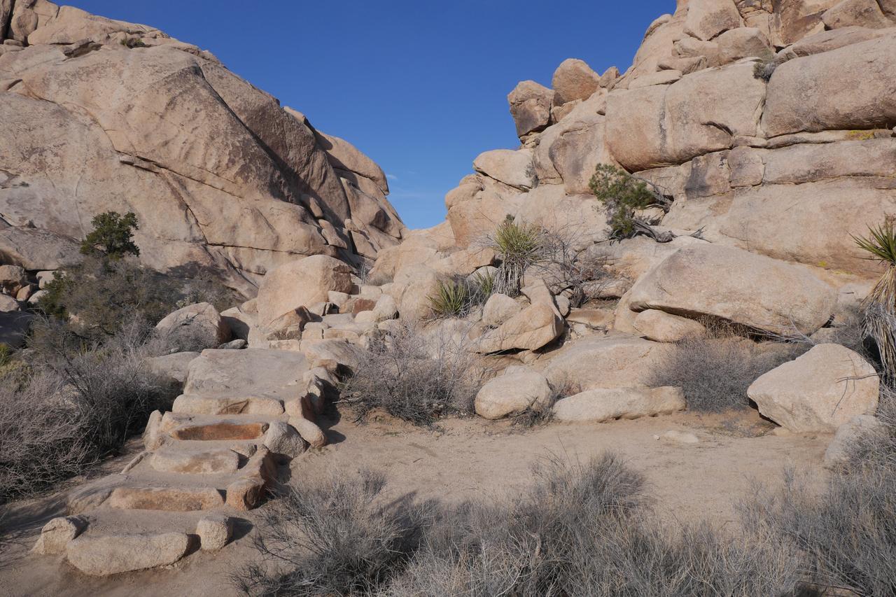 Campbell House Hotel Twentynine Palms Buitenkant foto